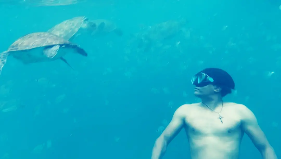 Snorkeler swimming with sea turtles in the clear water around São Vicente