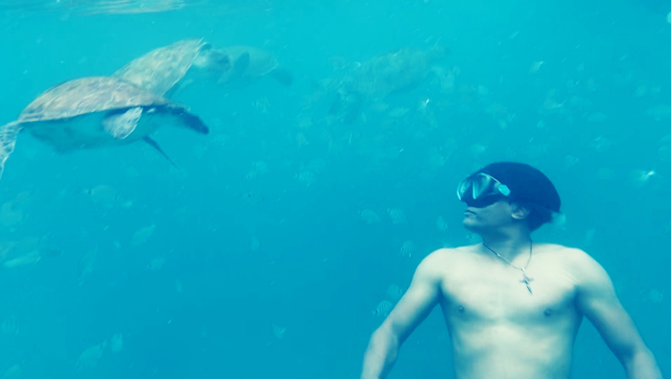 São Vicente Snorkling